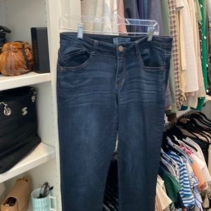 Nordstrom's Brand Wit & Wisdom Skinny Jeans